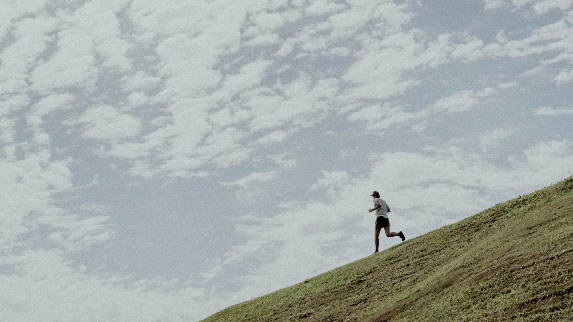 New | Cool Breeze