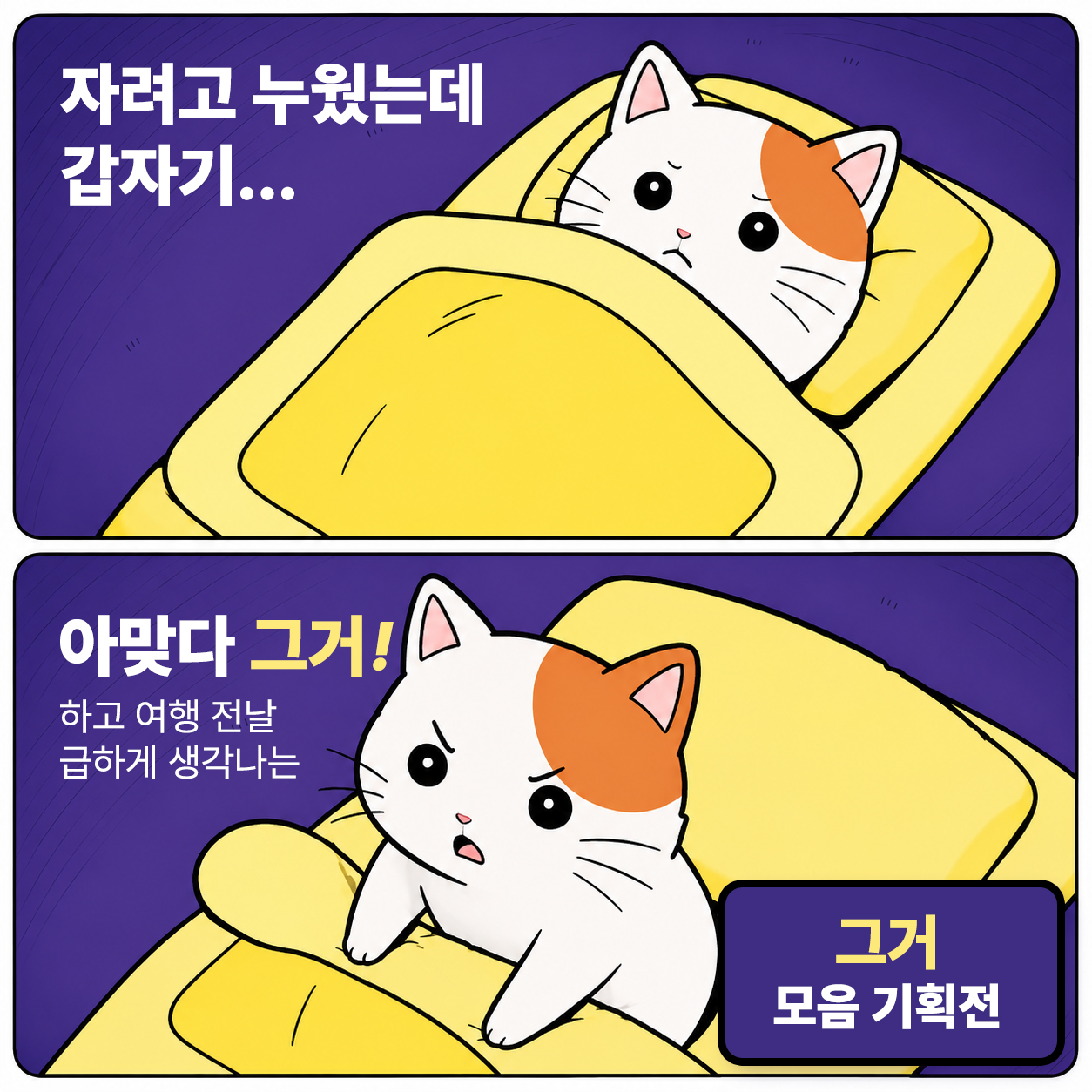 MD 추천템